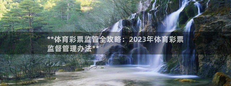 必一体育sport下载：**体育彩票监管全攻略：2023年体