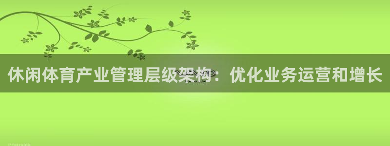 必一运动验证码：休闲体育产业管理层级架构：优化业务运营和增长