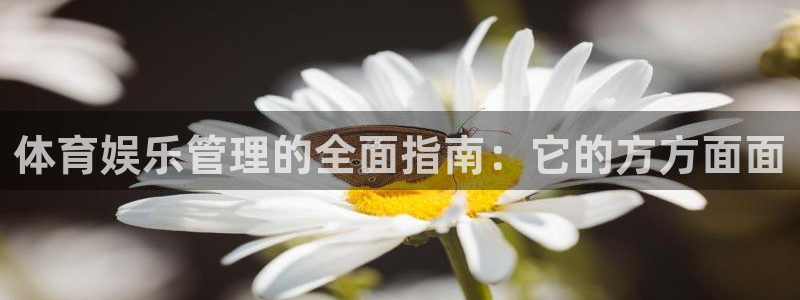 必一运动体育官网下载